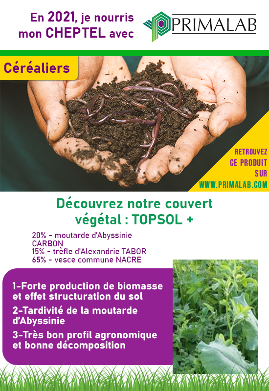 Les couverts végétaux : TOPSOL+ 